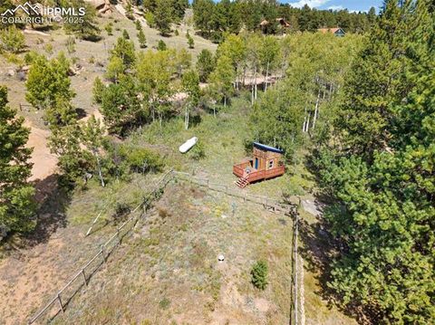 Tiny photo for 76 Crystal Peak Road, Florissant, CO 80816 (MLS # 3195031)