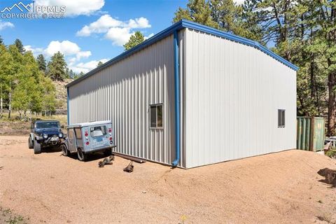 Tiny photo for 76 Crystal Peak Road, Florissant, CO 80816 (MLS # 3195031)