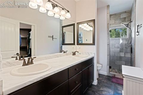 Tiny photo for 76 Crystal Peak Road, Florissant, CO 80816 (MLS # 3195031)