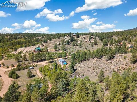 Tiny photo for 76 Crystal Peak Road, Florissant, CO 80816 (MLS # 3195031)
