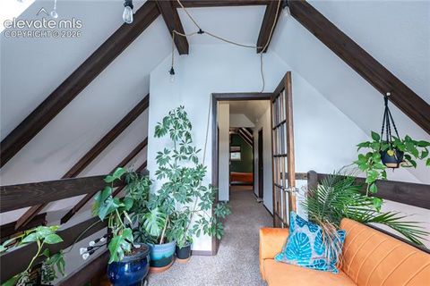 Tiny photo for 604 Whispering Winds Drive, Woodland Park, CO 80863 (MLS # 1696633)