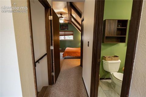 Tiny photo for 604 Whispering Winds Drive, Woodland Park, CO 80863 (MLS # 1696633)