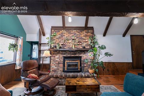 Tiny photo for 604 Whispering Winds Drive, Woodland Park, CO 80863 (MLS # 1696633)