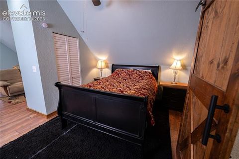 Tiny photo for 604 Whispering Winds Drive, Woodland Park, CO 80863 (MLS # 1696633)