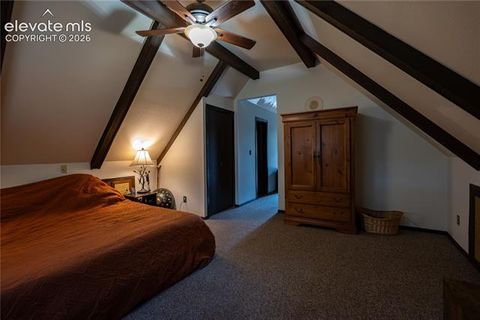 Tiny photo for 604 Whispering Winds Drive, Woodland Park, CO 80863 (MLS # 1696633)