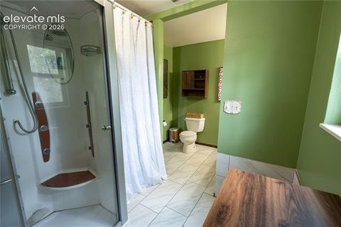 Tiny photo for 604 Whispering Winds Drive, Woodland Park, CO 80863 (MLS # 1696633)