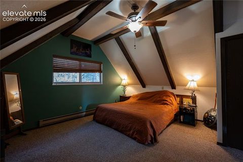 Tiny photo for 604 Whispering Winds Drive, Woodland Park, CO 80863 (MLS # 1696633)
