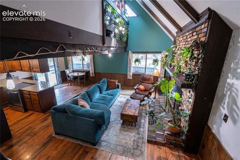 Tiny photo for 604 Whispering Winds Drive, Woodland Park, CO 80863 (MLS # 1696633)