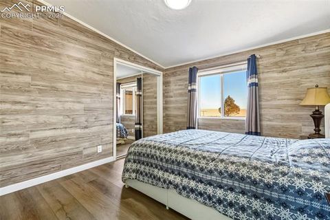 Tiny photo for 20402 County Road 2, Rush, CO 80833 (MLS # 9831058)