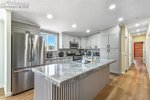 Tiny photo for 20402 County Road 2, Rush, CO 80833 (MLS # 9831058)