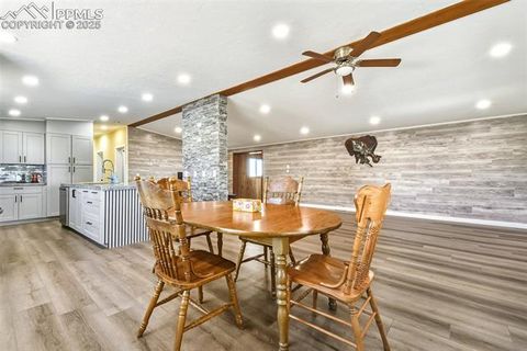 Tiny photo for 20402 County Road 2, Rush, CO 80833 (MLS # 9831058)