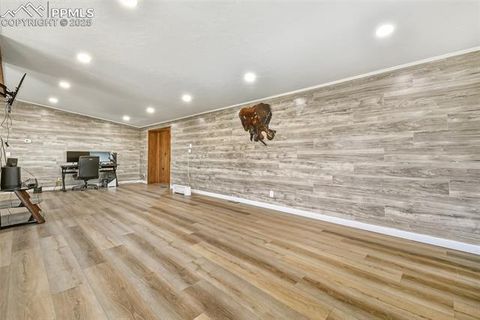 Tiny photo for 20402 County Road 2, Rush, CO 80833 (MLS # 9831058)