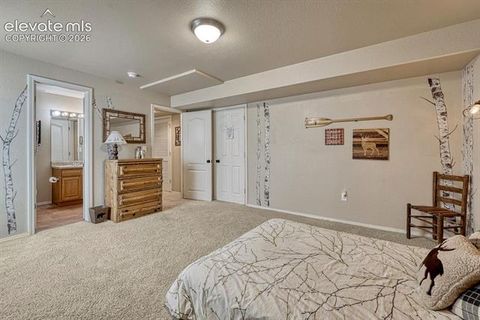 Tiny photo for 5629 Whiskey River Drive, Colorado Springs, CO 80923 (MLS # 2135684)