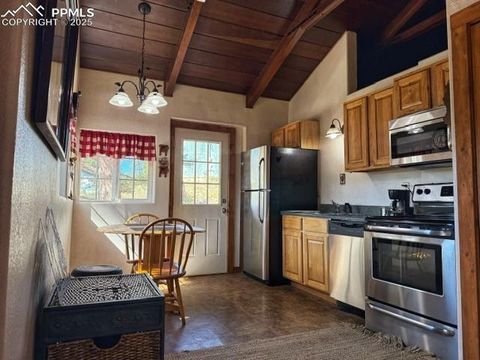 Tiny photo for 509 Circle Drive, Florissant, CO 80816 (MLS # 1297433)