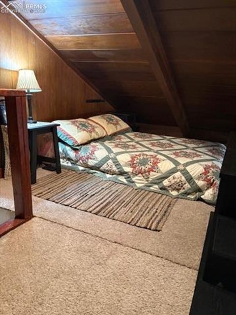 Tiny photo for 509 Circle Drive, Florissant, CO 80816 (MLS # 1297433)