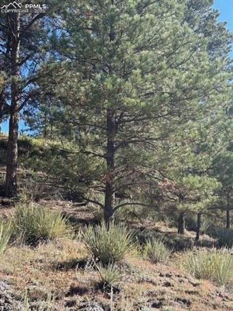 Tiny photo for 509 Circle Drive, Florissant, CO 80816 (MLS # 1297433)