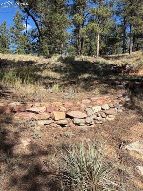 Tiny photo for 509 Circle Drive, Florissant, CO 80816 (MLS # 1297433)