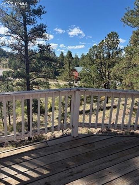 Tiny photo for 509 Circle Drive, Florissant, CO 80816 (MLS # 1297433)