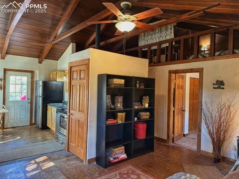 Tiny photo for 509 Circle Drive, Florissant, CO 80816 (MLS # 1297433)