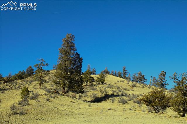 Properties For Sale Listings 697 Summit Road