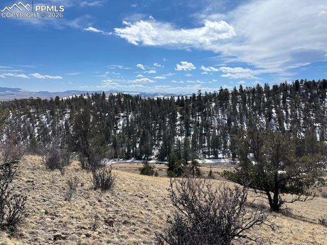 Properties For Sale Listings 697 Summit Road