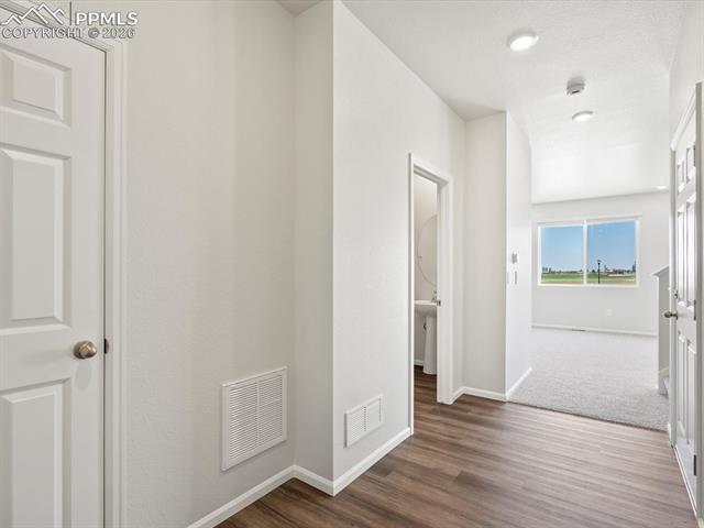 11396 Saugeye Street