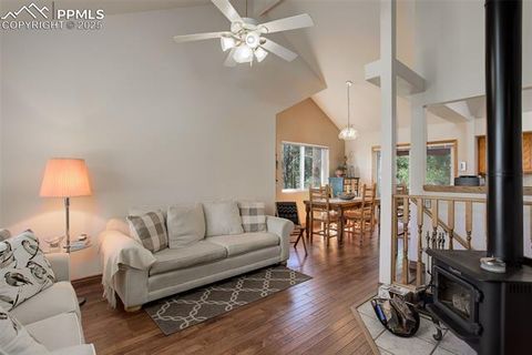 Tiny photo for 877 N Mountain Estates Road, Florissant, CO 80816 (MLS # 8139428)