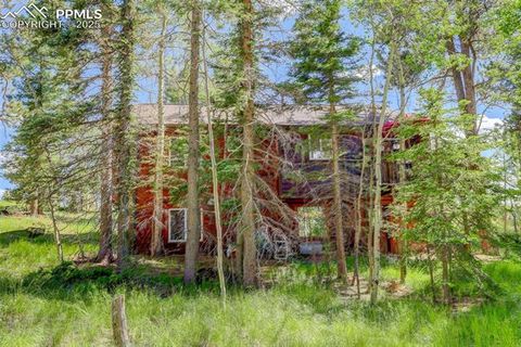 Tiny photo for 877 N Mountain Estates Road, Florissant, CO 80816 (MLS # 8139428)