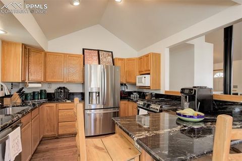 Tiny photo for 877 N Mountain Estates Road, Florissant, CO 80816 (MLS # 8139428)