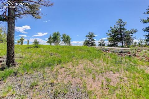 Tiny photo for 877 N Mountain Estates Road, Florissant, CO 80816 (MLS # 8139428)