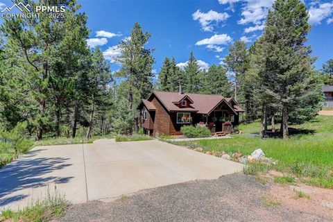 Tiny photo for 877 N Mountain Estates Road, Florissant, CO 80816 (MLS # 8139428)