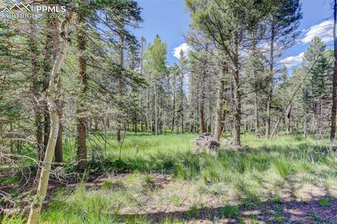 Tiny photo for 877 N Mountain Estates Road, Florissant, CO 80816 (MLS # 8139428)