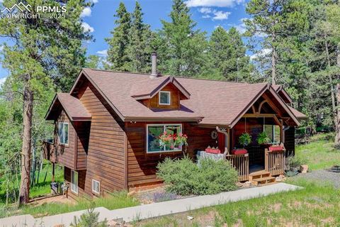 Photo of 877 N Mountain Estates Road, Florissant, CO 80816 (MLS # 8139428)