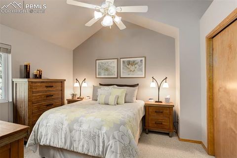 Tiny photo for 877 N Mountain Estates Road, Florissant, CO 80816 (MLS # 8139428)