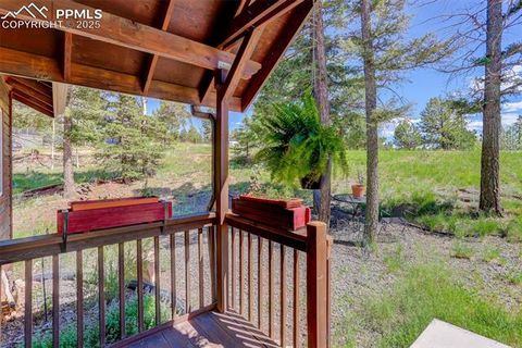 Tiny photo for 877 N Mountain Estates Road, Florissant, CO 80816 (MLS # 8139428)