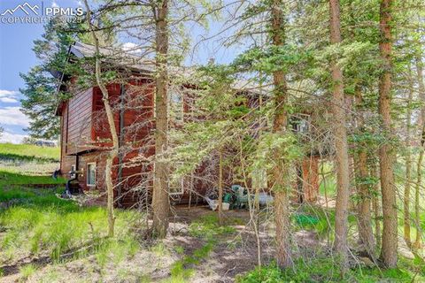 Tiny photo for 877 N Mountain Estates Road, Florissant, CO 80816 (MLS # 8139428)