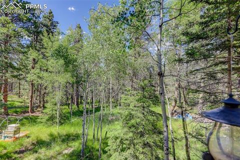 Tiny photo for 877 N Mountain Estates Road, Florissant, CO 80816 (MLS # 8139428)