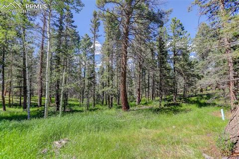 Tiny photo for 877 N Mountain Estates Road, Florissant, CO 80816 (MLS # 8139428)