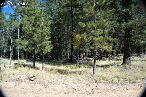 Photo of 252 Southpark Road, Florissant, CO 80816 (MLS # 1304755)