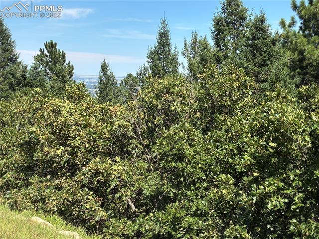 4875 Willow Stone Heights