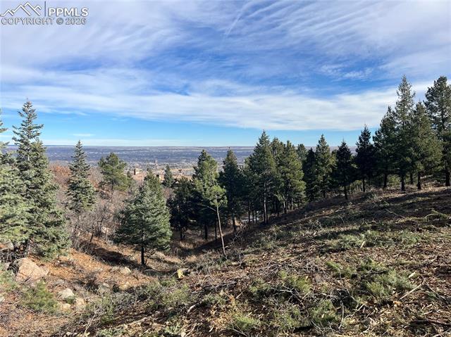 4875 Willow Stone Heights