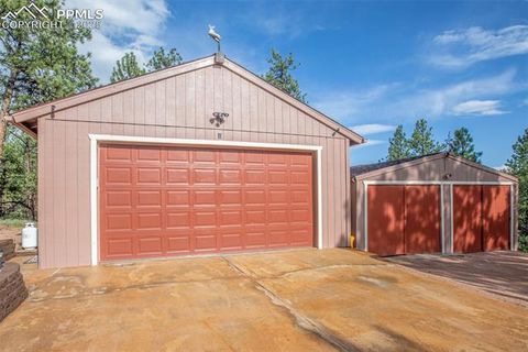 Tiny photo for 16 Rainier Circle, Florissant, CO 80816 (MLS # 7881689)