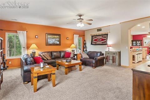Tiny photo for 16 Rainier Circle, Florissant, CO 80816 (MLS # 7881689)