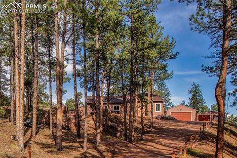 Tiny photo for 16 Rainier Circle, Florissant, CO 80816 (MLS # 7881689)