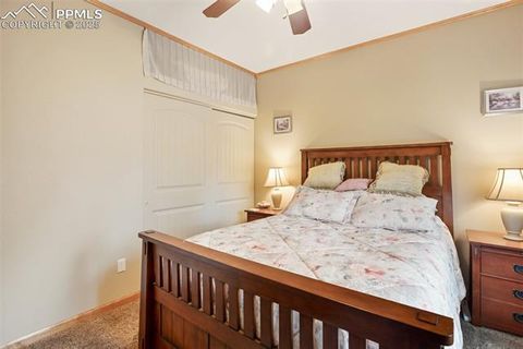 Tiny photo for 16 Rainier Circle, Florissant, CO 80816 (MLS # 7881689)