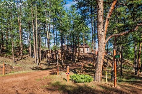 Tiny photo for 16 Rainier Circle, Florissant, CO 80816 (MLS # 7881689)