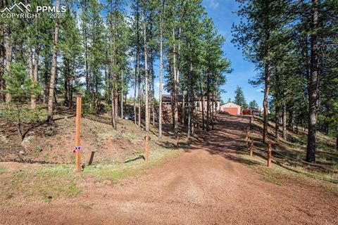 Tiny photo for 16 Rainier Circle, Florissant, CO 80816 (MLS # 7881689)