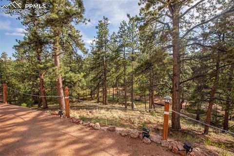 Tiny photo for 16 Rainier Circle, Florissant, CO 80816 (MLS # 7881689)
