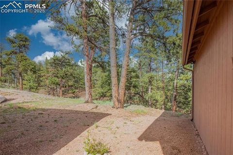 Tiny photo for 16 Rainier Circle, Florissant, CO 80816 (MLS # 7881689)