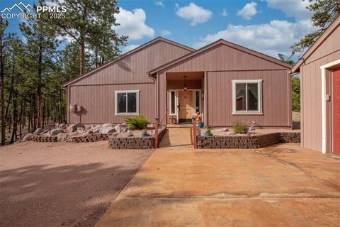 Photo of 16 Rainier Circle, Florissant, CO 80816 (MLS # 7881689)